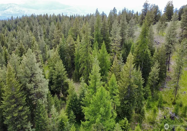 Photo 4 of Land for sale at 0 Tbd Blue Meadow Rd, Tonasket, WA 98855 | MLS# NWM2546766 | Listing updated on 2026-09-22