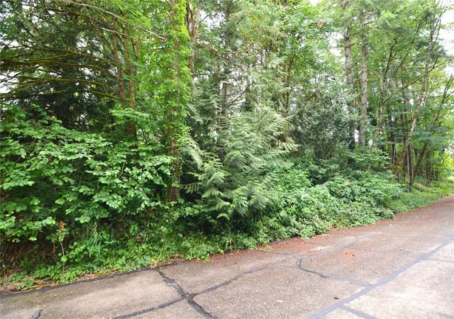 Photo 3 of Land for sale at 2428 Archwood Dr, Longview, WA 98632 | MLS# NWM2546862 | Listing updated on 2026-09-22