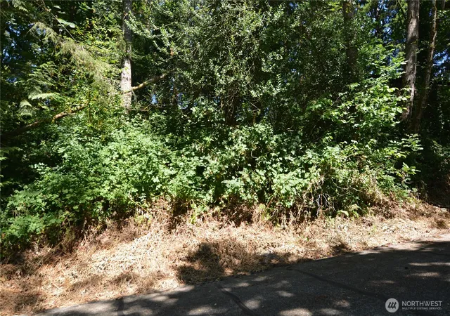 Photo 4 of Land for sale at 2428 Archwood Dr, Longview, WA 98632 | MLS# NWM2546862 | Listing updated on 2026-09-22