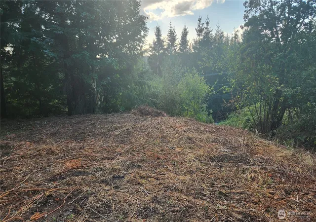 Photo 1 of Land for sale at 0 Ne Jabez St, Winlock, WA 98596 | MLS# NWM2546918 | Listing updated on 2026-09-24