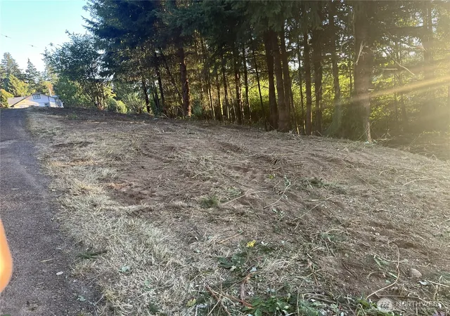 Photo 3 of Land for sale at 0 Ne Jabez St, Winlock, WA 98596 | MLS# NWM2546918 | Listing updated on 2026-09-24