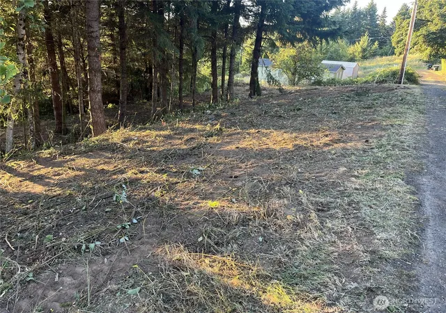Photo 3 of Land for sale at 0 NE Jabez St, Winlock, WA 98596 | MLS# NWM2546918 | Listing updated on 2026-09-24