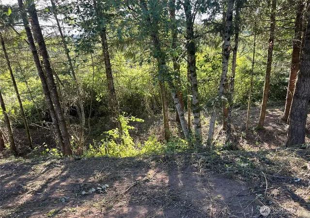 Photo 4 of Land for sale at 0 NE Jabez St, Winlock, WA 98596 | MLS# NWM2546918 | Listing updated on 2026-09-24