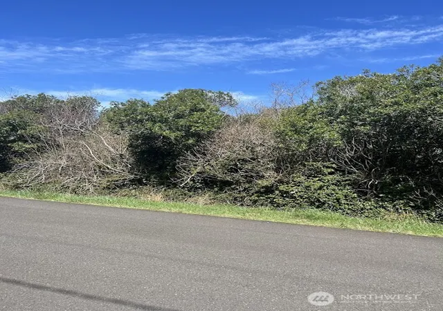 Land for sale at 314 S Seashore St SW, Ocean Shores, WA 98569 | MLS# NWM2546924
