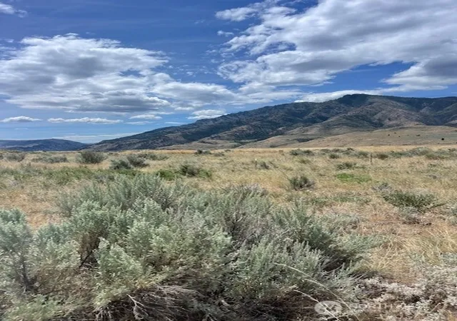 Photo 3 of Land for sale at 0 Lot 1 Bill Shaw Rd, Pateros, WA 98846 | MLS# NWM2546972 | Listing updated on 2026-09-22