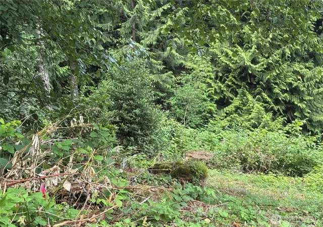 Photo 4 of Land for sale at 1234 NE 11th Avenue, Poulsbo, WA 98370 | MLS# NWM2547064 | Listing updated on 2026-09-22