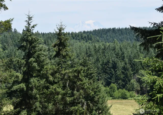Photo 2 of Land for sale at 12345 Case Rd Sw, Olympia, WA 98512 | MLS# NWM2547311 | Listing updated on 2026-09-22