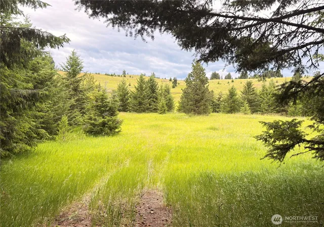 Photo 2 of Single family home for sale at 12 S Teal Lake Rd, Oroville, WA 98844 | MLS# NWM2547395 | Listing updated on 2026-09-22