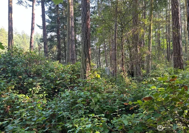 Photo 3 of Land for sale at 135 Chinook Way, Anacortes, WA 98221 | MLS# NWM2547650 | Listing updated on 2026-09-22