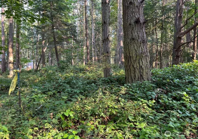 Photo 4 of Land for sale at 135 Chinook Way, Anacortes, WA 98221 | MLS# NWM2547650 | Listing updated on 2026-09-22