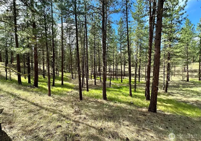 Photo 2 of Land for sale at 67 Larkspur Dr, Winthrop, WA 98862 | MLS# NWM2547854 | Listing updated on 2026-09-22