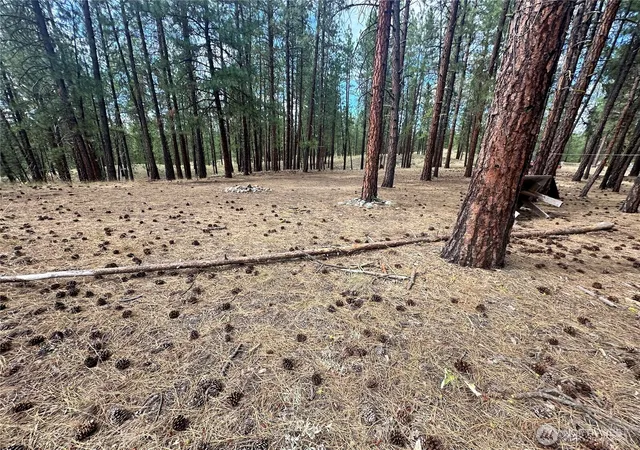 Photo 1 of Land for sale at 67 Larkspur Dr, Winthrop, WA 98862 | MLS# NWM2547854 | Listing updated on 2026-09-22