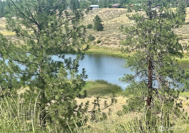 Photo 3 of Land for sale at 67 Larkspur Dr, Winthrop, WA 98862 | MLS# NWM2547854 | Listing updated on 2026-09-22