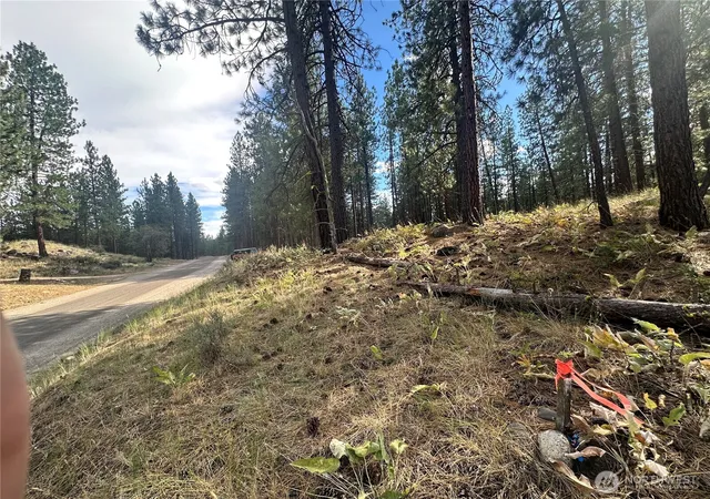 Land for sale at 67 Larkspur Dr, Winthrop, WA 98862 | MLS# NWM2547854