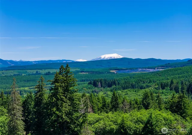 Photo 2 of Land for sale at 0 S Silver Lake Lot #7 Rd, Castle Rock, WA 98611 | MLS# NWM2547869 | Listing updated on 2026-09-22
