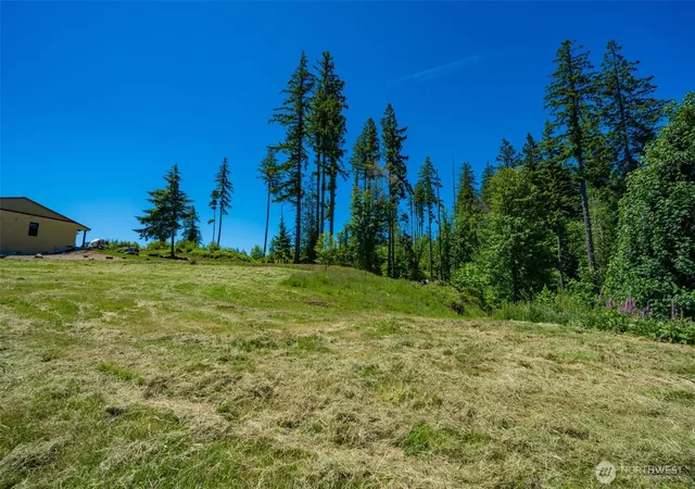 Photo 3 of Land for sale at 0 S Silver Lake Lot 6 Rd, Castle Rock, WA 98611 | MLS# NWM2547904 | Listing updated on 2026-09-22