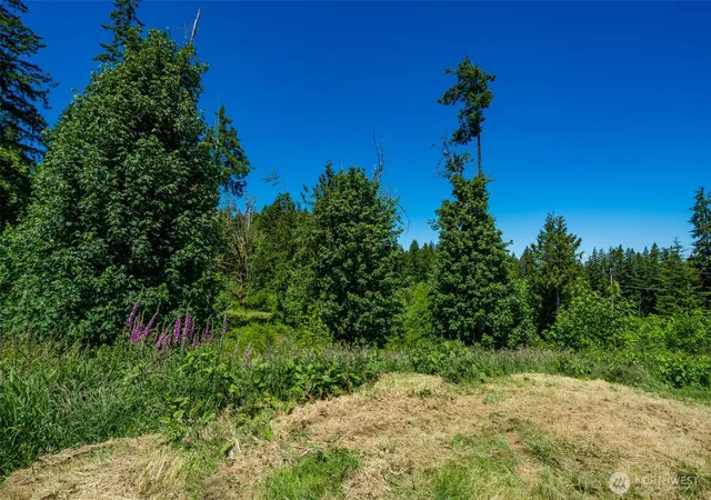 Photo 4 of Land for sale at 0 S Silver Lake Lot 6 Rd, Castle Rock, WA 98611 | MLS# NWM2547904 | Listing updated on 2026-09-22