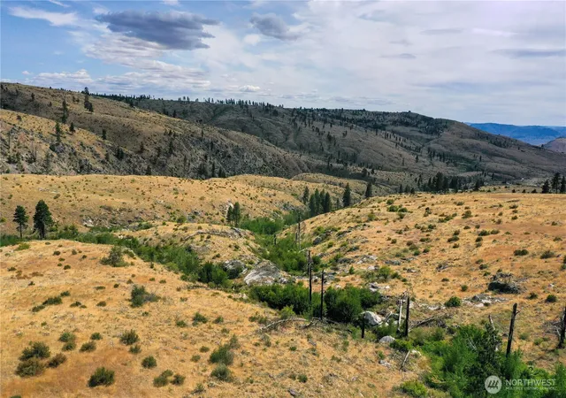 Photo 3 of Land for sale at 0 Tbd Indian Dan Cyn, Brewster, WA 98812 | MLS# NWM2548051 | Listing updated on 2026-09-22