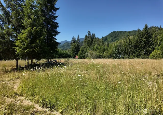 Photo 2 of Land for sale at 45075 Cedar St, Concrete, WA 98237 | MLS# NWM2548315 | Listing updated on 2026-09-22