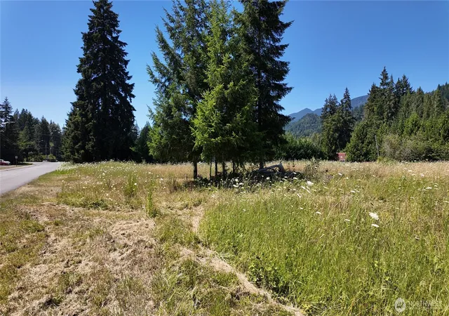 Photo 3 of Land for sale at 45075 Cedar St, Concrete, WA 98237 | MLS# NWM2548315 | Listing updated on 2026-09-22