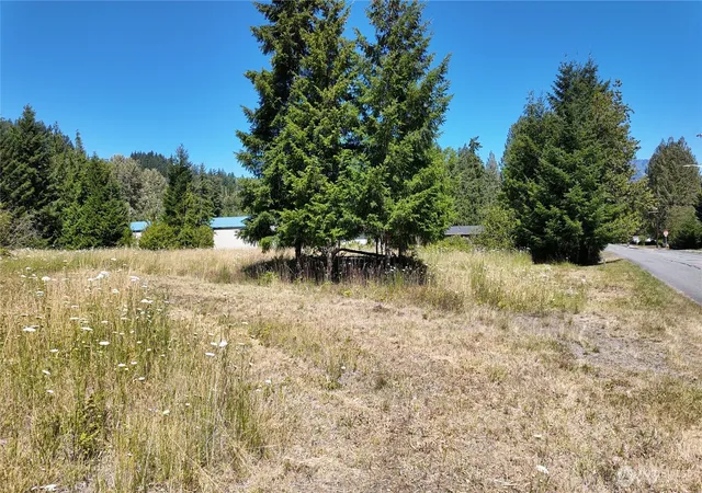 Photo 3 of Land for sale at 45075 Cedar St, Concrete, WA 98237 | MLS# NWM2548315 | Listing updated on 2026-09-22