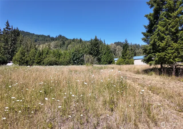 Photo 4 of Land for sale at 45075 Cedar St, Concrete, WA 98237 | MLS# NWM2548315 | Listing updated on 2026-09-22