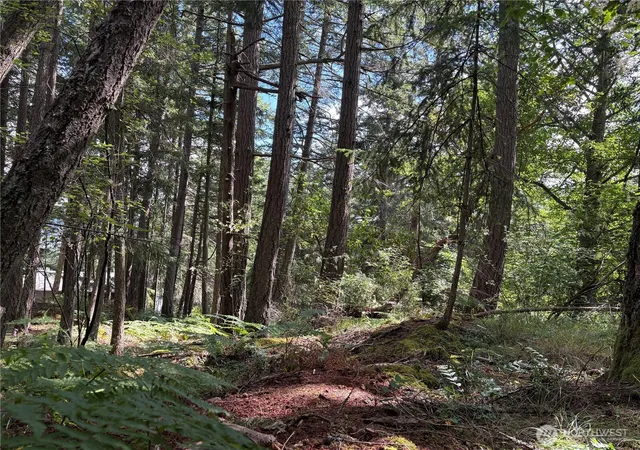 Photo 4 of Land for sale at 0 Lot 14 Rosario Rd, Orcas Island, WA 98245 | MLS# NWM2548329 | Listing updated on 2026-09-22