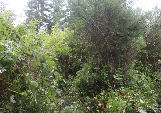 Photo 3 of Land for sale at 0 State Hwy 104, Kingston, WA 98346 | MLS# NWM2548396 | Listing updated on 2026-09-22