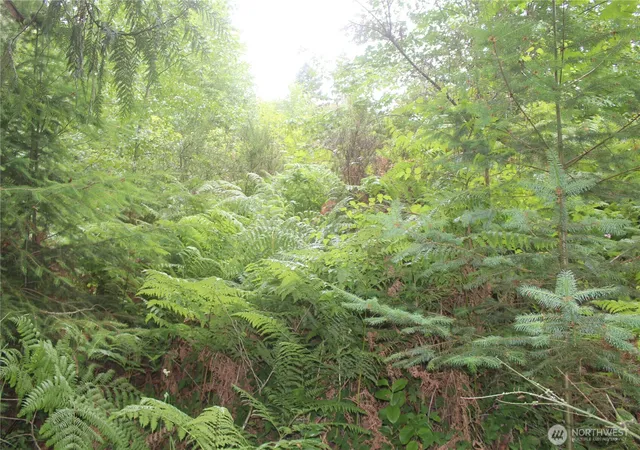 Photo 4 of Land for sale at 0 State Hwy 104, Kingston, WA 98346 | MLS# NWM2548396 | Listing updated on 2026-09-22