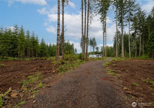 Photo 4 of Land for sale at 254 Calvin Rd, Cinebar, WA 98533 | MLS# NWM2548435 | Listing updated on 2026-09-22