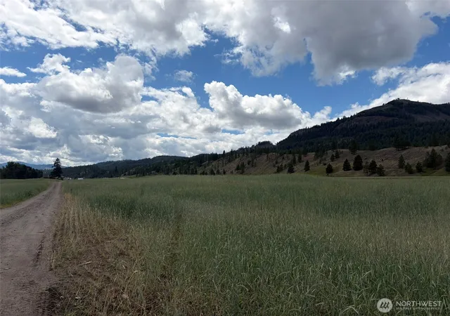 Photo 3 of Land for sale at 1 Tbd Lundimo Meadows Tract 1, Curlew, WA 99118 | MLS# NWM2548602 | Listing updated on 2026-09-22