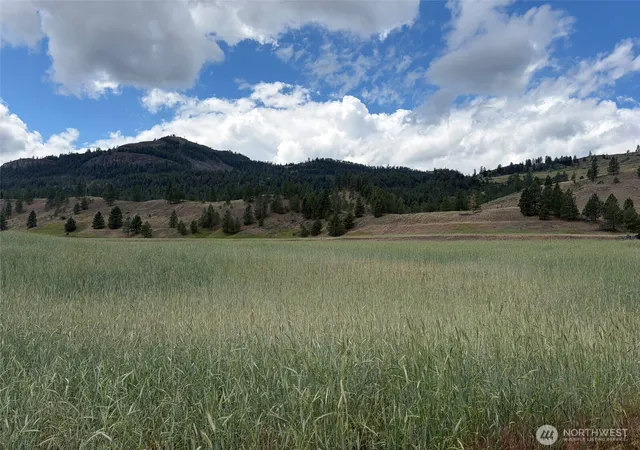 Photo 4 of Land for sale at 1 Tbd Lundimo Meadows Tract 1, Curlew, WA 99118 | MLS# NWM2548602 | Listing updated on 2026-09-22