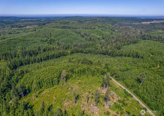 Land for sale at 1 W Walberg Rd, Chinook, WA 98614 | MLS# NWM2548624