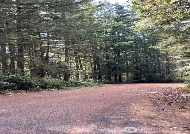 Photo 2 of Land for sale at 11308 114th Street Ct, Anderson Island, WA 98303 | MLS# NWM2548735 | Listing updated on 2026-09-22