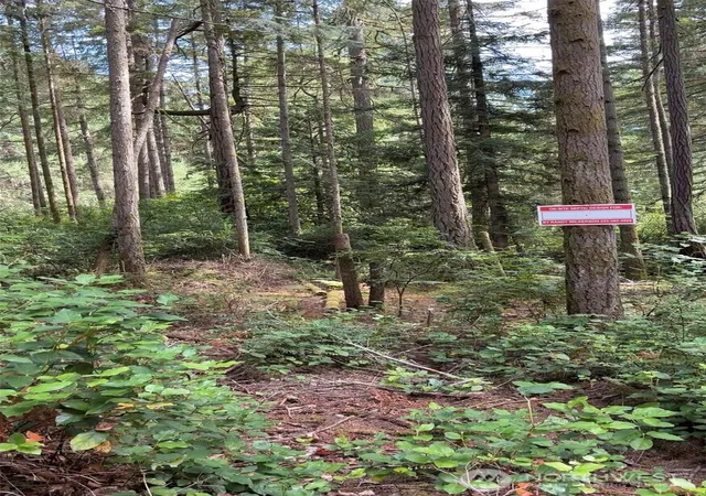 Photo 3 of Land for sale at 11308 114th Street Ct, Anderson Island, WA 98303 | MLS# NWM2548735 | Listing updated on 2026-09-22