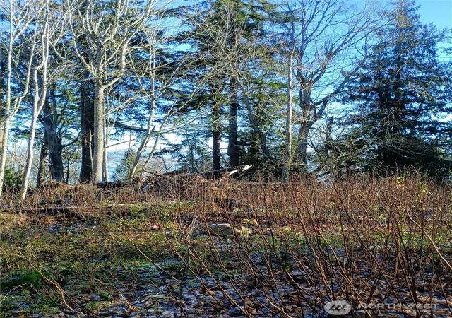 Photo 1 of Land for sale at 49 K Tulalip Way, Hat Island, WA 98206 | MLS# NWM2548748 | Listing updated on 2026-09-22
