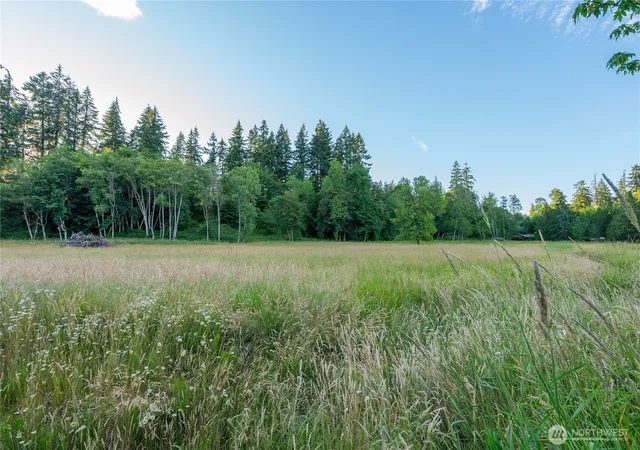 Photo 4 of Land for sale at 0 Middlecrest Dr #Lot 1, Toledo, WA 98591 | MLS# NWM2548804 | Listing updated on 2026-09-22