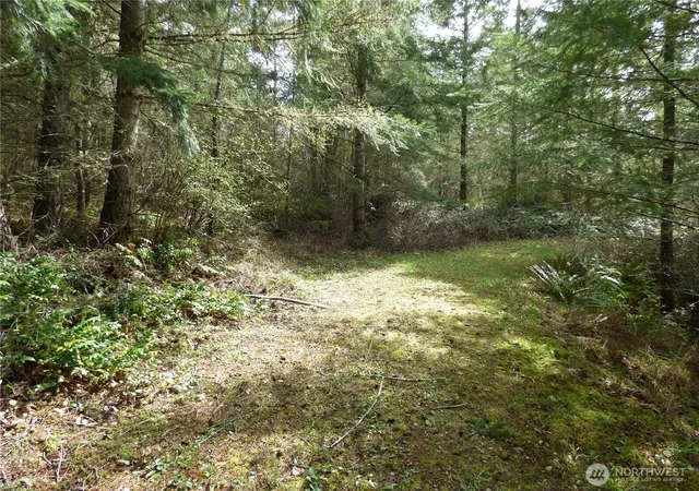 Photo 4 of Land for sale at 17012 226th Street Ct E, Orting, WA 98360 | MLS# NWM2548820 | Listing updated on 2026-09-23