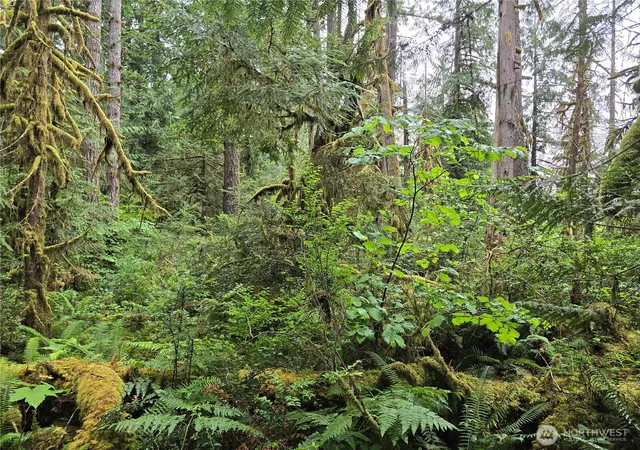 Photo 4 of Land for sale at 123 N US Hwy 101, Shelton, WA 98584 | MLS# NWM2548885 | Listing updated on 2026-09-22