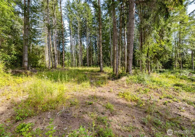 Photo 4 of Land for sale at 0 Xxx Bailey Rd (lot 1), Clinton, WA 98236 | MLS# NWM2548915 | Listing updated on 2026-09-22