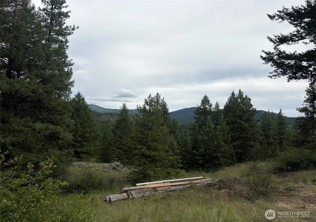 Photo 4 of Single family home for sale at 184 N Lambert Ln, Republic, WA 99166 | MLS# NWM2548989 | Listing updated on 2026-09-22