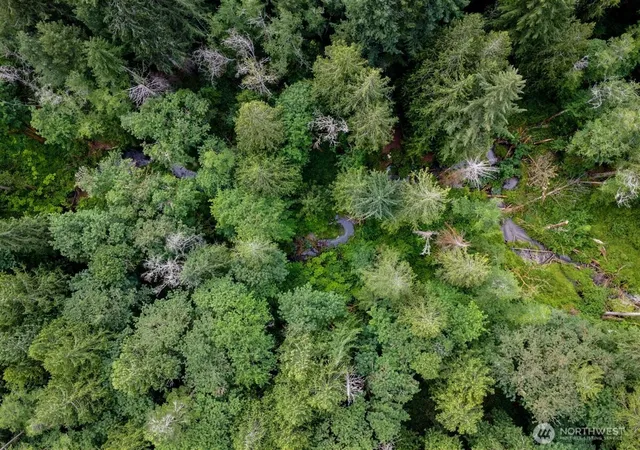 Photo 2 of Sale Pending at 0 Nels Nelson Rd Nw, Bremerton, WA 98311 | MLS# NWM2549128 | Listing updated on 2026-09-25