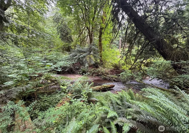 Photo 4 of Sale Pending at 0 Nels Nelson Rd NW, Bremerton, WA 98311 | MLS# NWM2549128 | Listing updated on 2026-09-25
