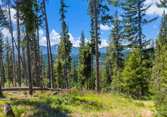 Photo 3 of Land for sale at 4 Red Sky Way, Cle Elum, WA 98922 | MLS# NWM2549139 | Listing updated on 2026-09-22