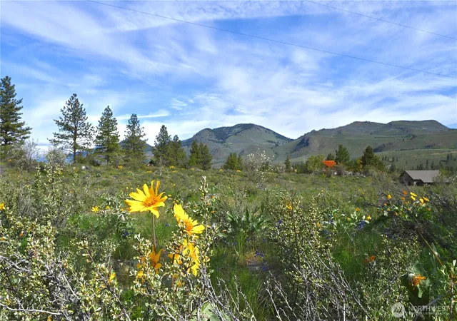Photo 1 of Land for sale at 0 Green Meadows, Winthrop, WA 98862 | MLS# NWM2549233 | Listing updated on 2026-09-22