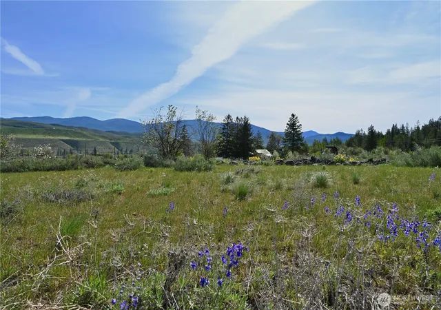 Photo 3 of Land for sale at 0 Green Meadows, Winthrop, WA 98862 | MLS# NWM2549233 | Listing updated on 2026-09-22