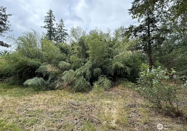 Photo 4 of Land for sale at 1810 S 27th Street, Renton, WA 98055 | MLS# NWM2549268 | Listing updated on 2026-09-22