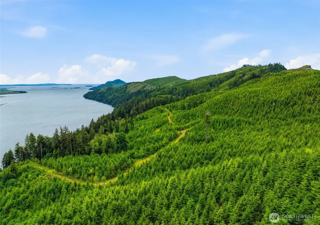 Photo 1 of Land for sale at 0 Pid 6465 State Route 4 Hwy, Skamokawa, WA 98647 | MLS# NWM2549288 | Listing updated on 2026-09-22