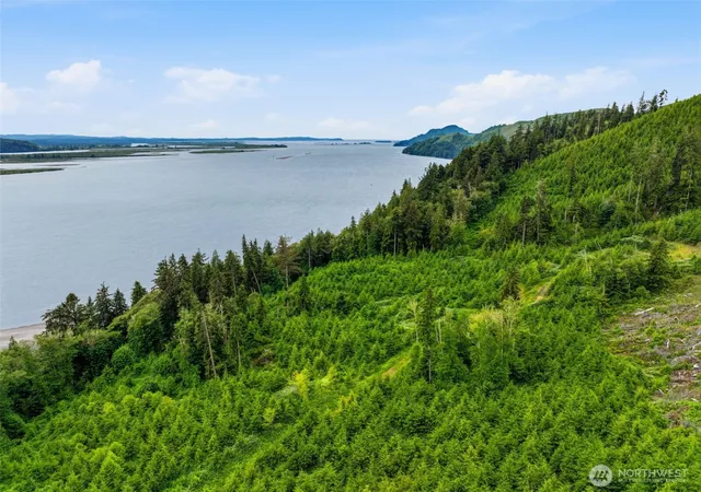 Photo 1 of Land for sale at 0 Pid 2169 State Route 4 Hwy, Skamokawa, WA 98674 | MLS# NWM2549289 | Listing updated on 2026-09-22