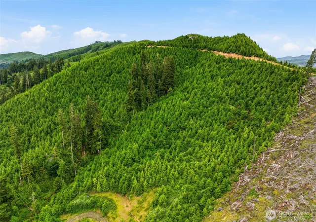 Photo 2 of Land for sale at 0 Pid 2169 State Route 4 Hwy, Skamokawa, WA 98674 | MLS# NWM2549289 | Listing updated on 2026-09-22